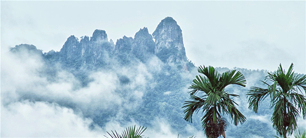 走進(jìn)椰島上的熱帶雨林，到海南任性吸氧吧！