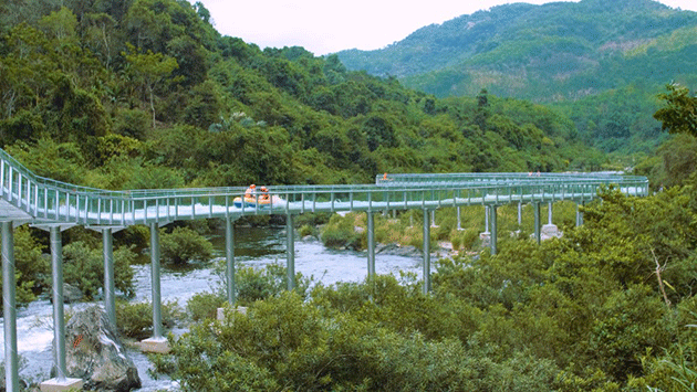 熱帶雨林漂流記