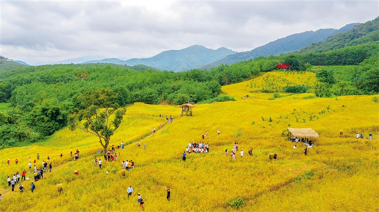 2020年白沙“啦奧門”山蘭文化節(jié)開幕