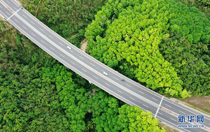 　3月26日拍攝的海南山海高速一景